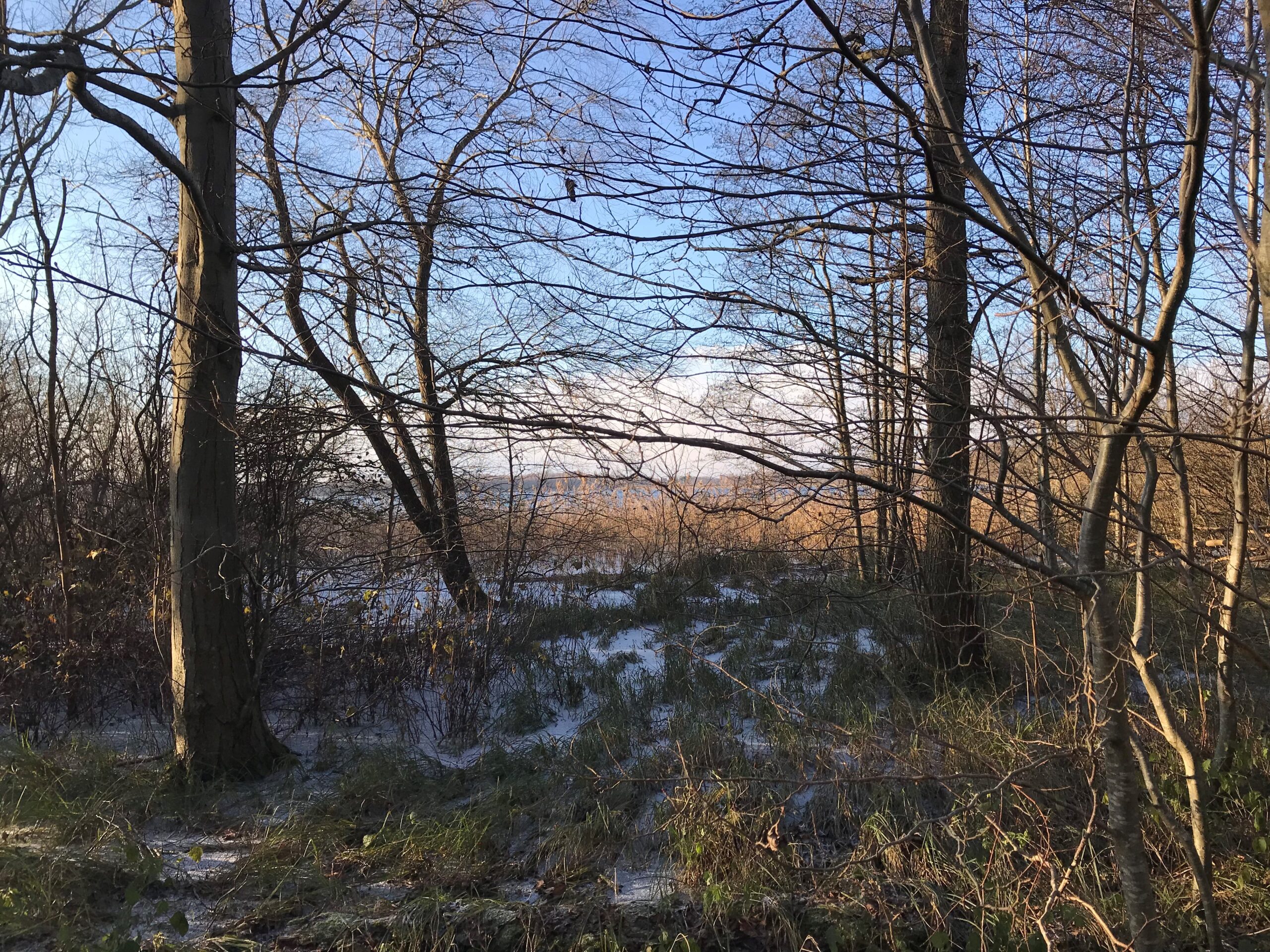 FORSKYDNING – vandring om Søndersø med Naturstemt