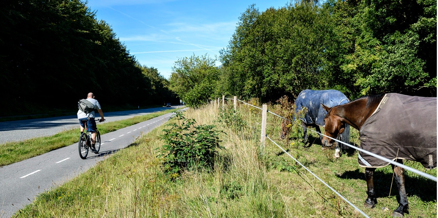 Furesø Kommune lar lagt ny asfalt på supercykelstier på Frederiksborgvej og Fiskebækvej. Foto: Supercykelstier.dk